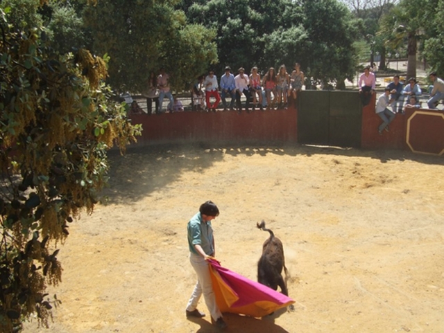Toreando una vaquilla